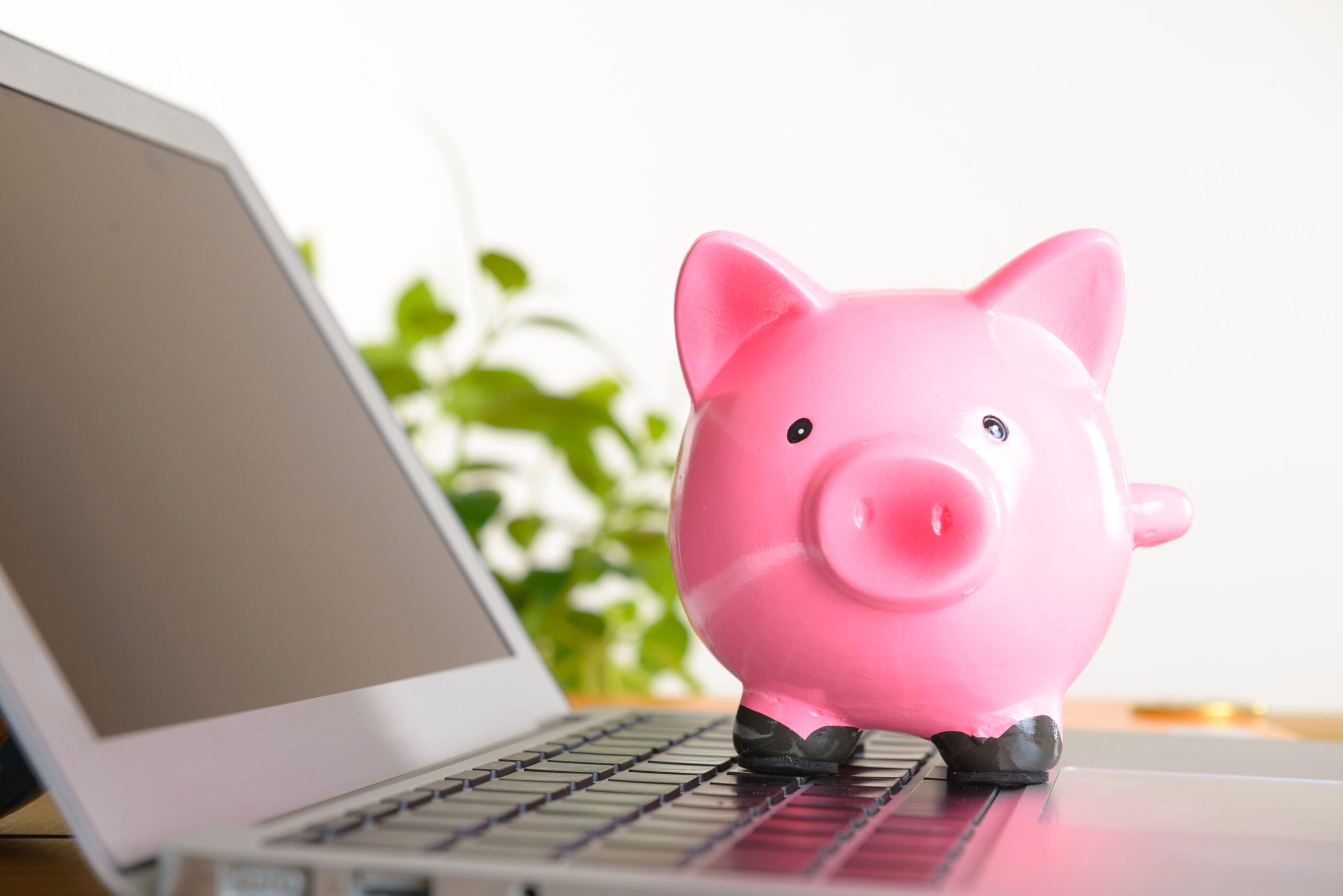 6. Automate Your Savings