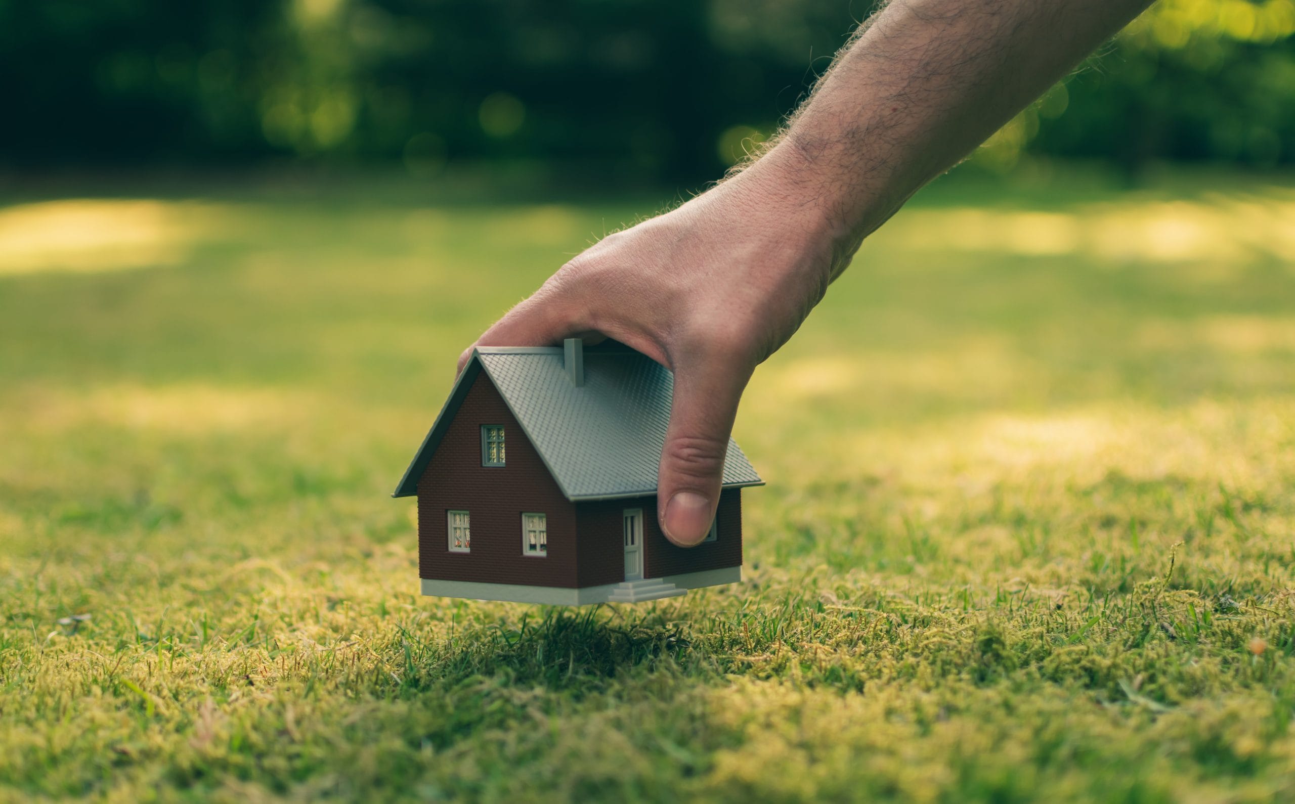 property transfers under investigation