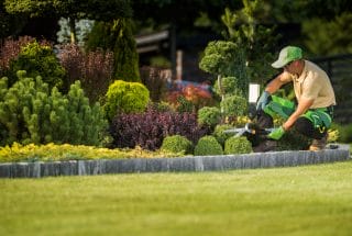 landscaping habits