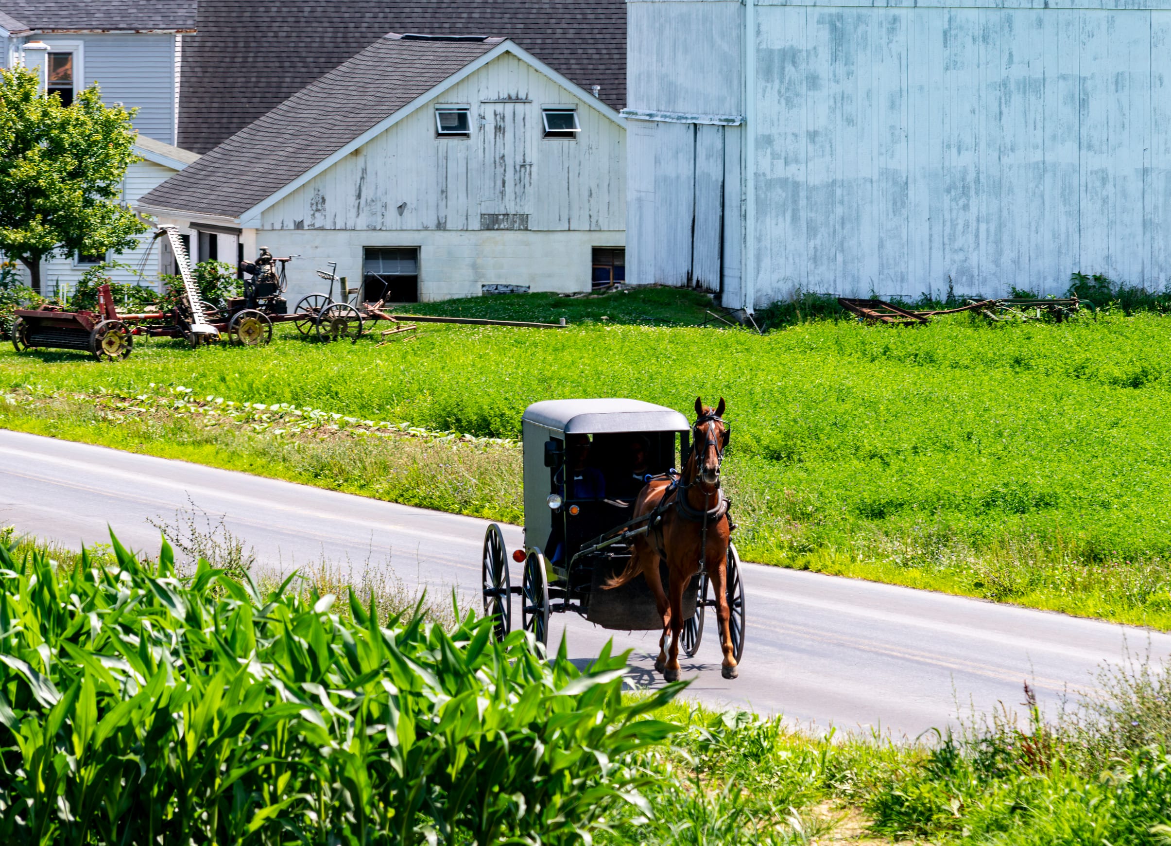 Amish survival essentials