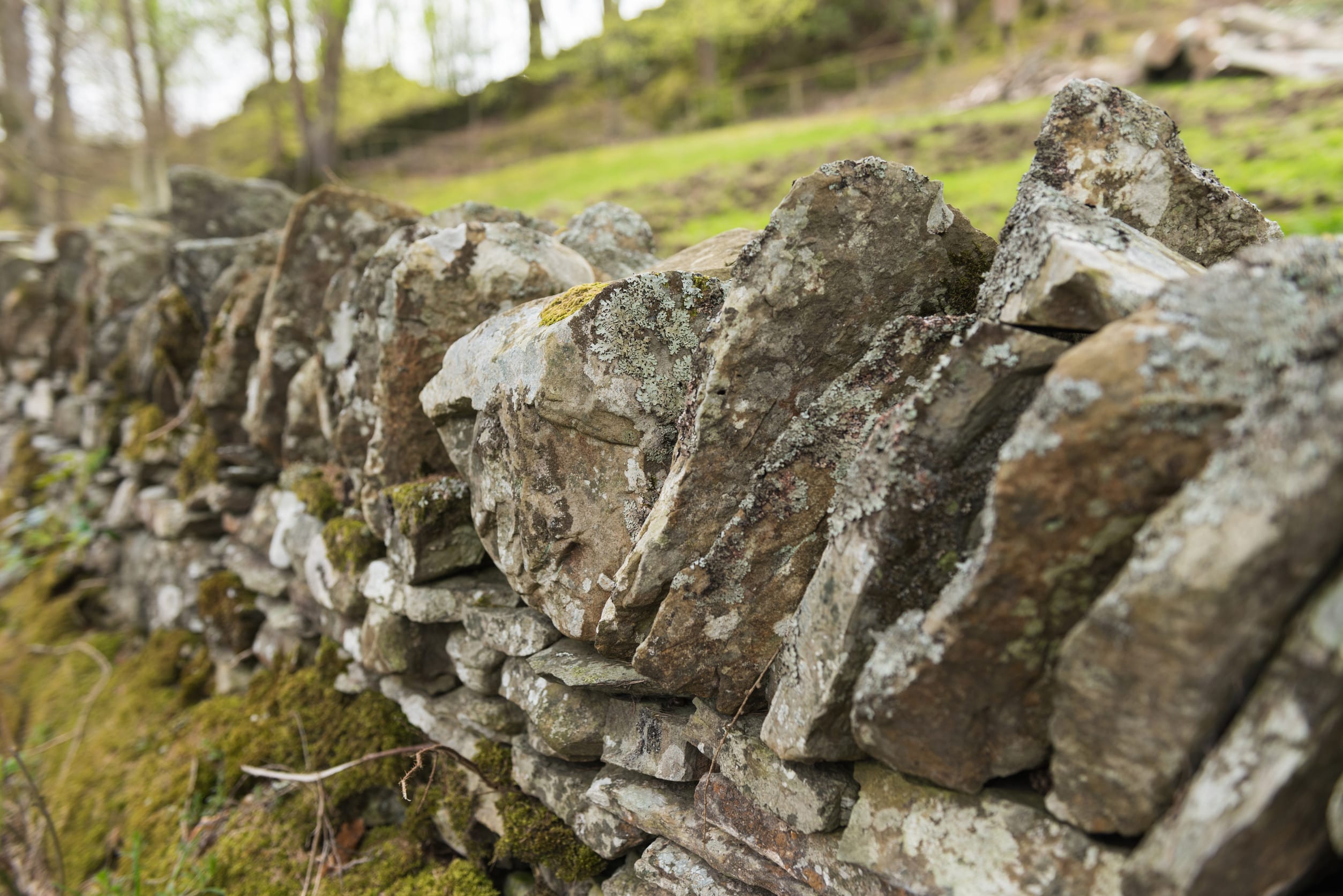 9. Create a Gabion Fence