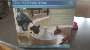 Cat Fountain