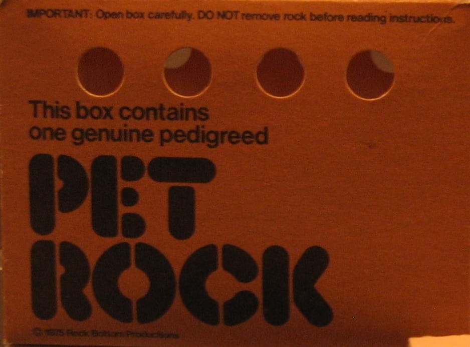 Box containing a pet rock
