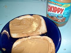 Peanutbutter Sandwich