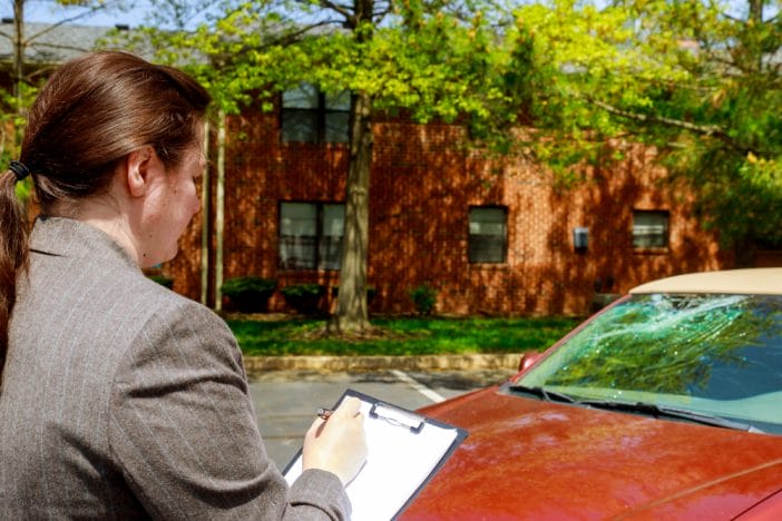 Here Are 8 Things To Do Immediately If You Can't Avoid Hitting A Deer