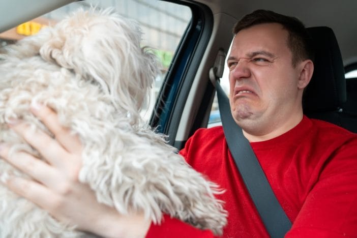 Here Are 9 Everyday Car Habits That Make Odors Impossible to Get Rid Of