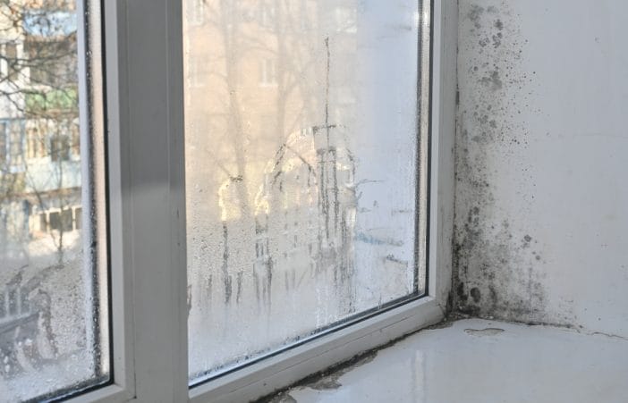 The "Drafty Window" Sign That Means You Have Hidden Rot