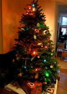 xmas tree